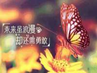 九江百业联合视频销售有限公司