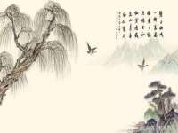 九江百业联合视频销售有限公司