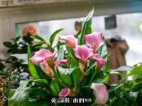 九江百业联合视频销售有限公司