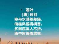 九江百业联合视频销售有限公司