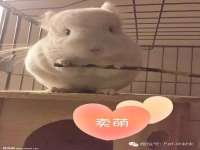 九江百业联合视频销售有限公司