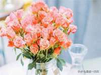 九江百业联合视频销售有限公司